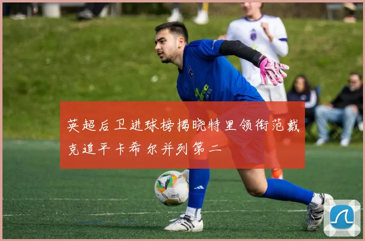 英超后卫进球榜揭晓特里领衔范戴克追平卡希尔并列第二