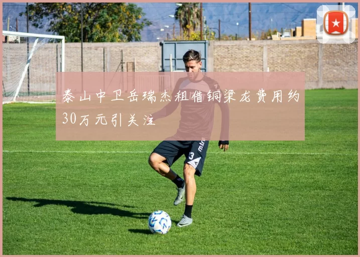 泰山中卫岳瑞杰租借铜梁龙费用约30万元引关注